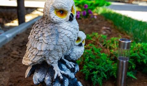 Усадьба Соленое Озеро, Темрюкский район, Веселовка