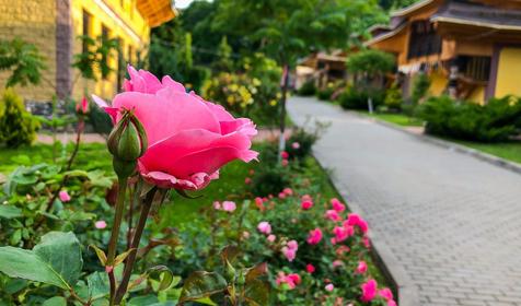 Китайская деревня