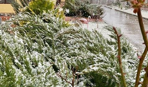 Китайская деревня