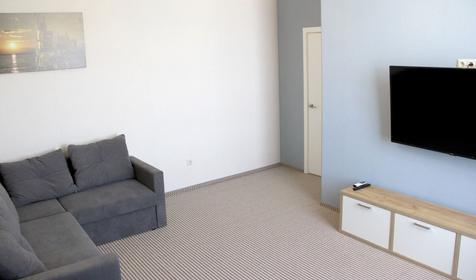 Апартаменты двухкомнатные с видом на парк (50 м²)