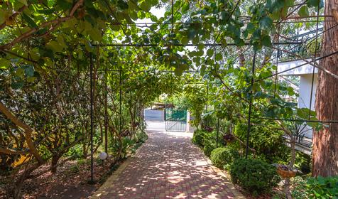 Гостиница Эвкалипт, Сочи, Лазаревский район, п. Лоо