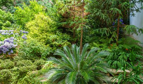 Гостиница Эвкалипт, Сочи, Лазаревский район, п. Лоо