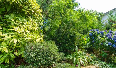 Гостиница Эвкалипт, Сочи, Лазаревский район, п. Лоо