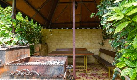 Гостиница Эвкалипт, Сочи, Лазаревский район, п. Лоо