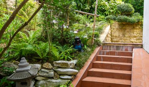 Гостиница Эвкалипт, Сочи, Лазаревский район, п. Лоо