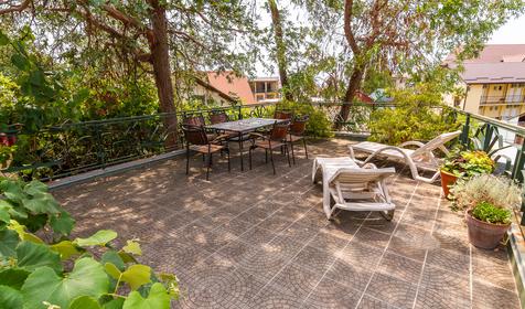 Гостиница Эвкалипт, Сочи, Лазаревский район, п. Лоо