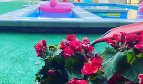 Odissei (Одиссей)