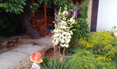 Четырехместный комфорт №1