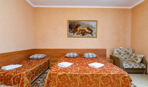 Люкс двухкомнатный. Гостиница Уралочка, Сочи, Лазаревское