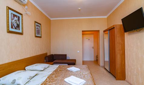 Двухместный стандарт без балкона. Гостиница Уралочка, Сочи, Лазаревское