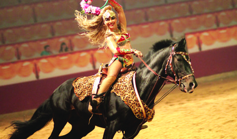 Зрелище "Амазонки Боспорского царства"