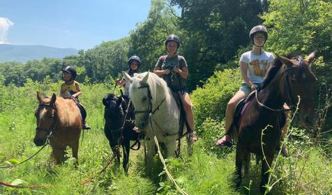 Клуб верховой езды