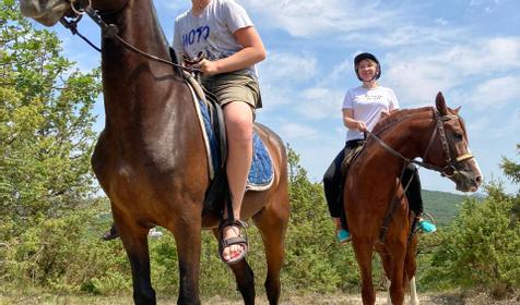 Клуб верховой езды