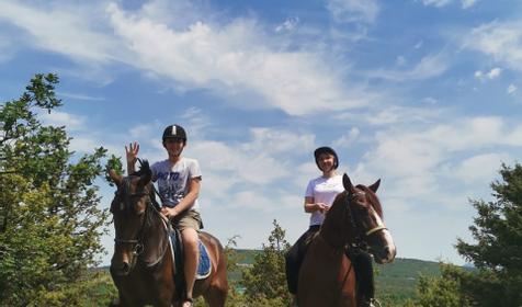 Клуб верховой езды