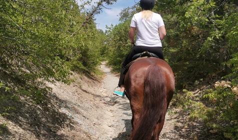 Клуб верховой езды