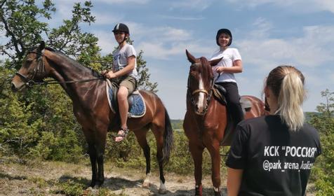 Клуб верховой езды