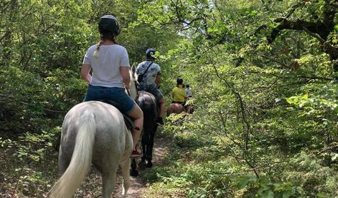 Клуб верховой езды