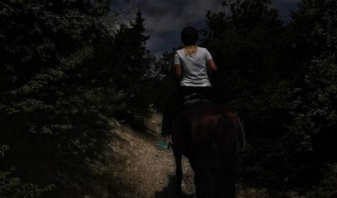 Клуб верховой езды