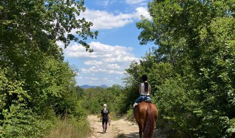 Клуб верховой езды