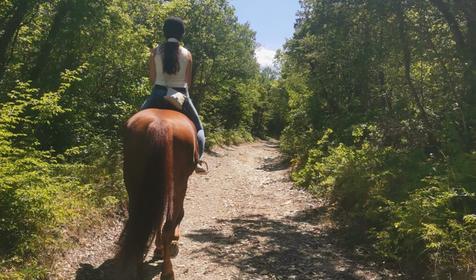 Клуб верховой езды