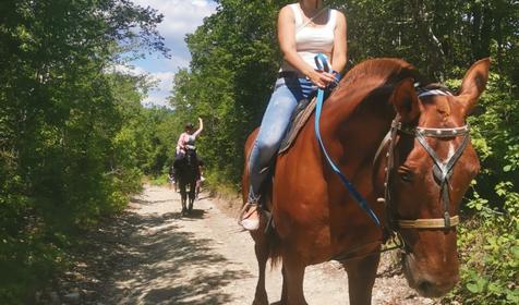 Клуб верховой езды