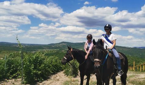 Клуб верховой езды