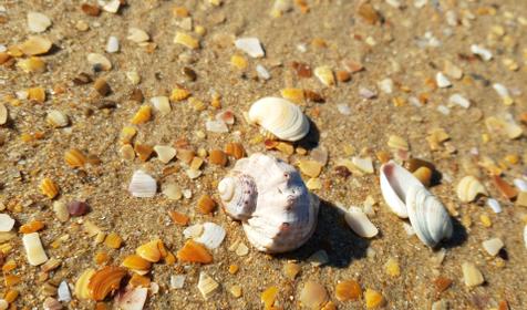 Гостевой дом Александра, Анапа, Джемете