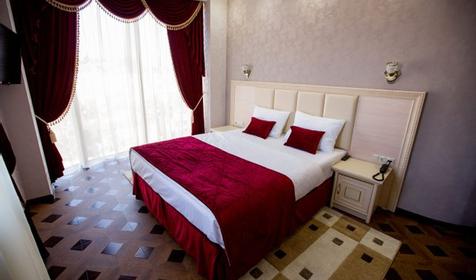  Люкс двухместный двухкомнатный