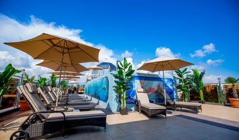  Shine House (Шайн Хаус)