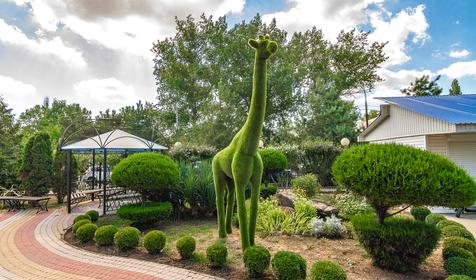 Санаторий Рябинушка, г. Анапа