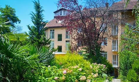 Lamore (Ламоре)