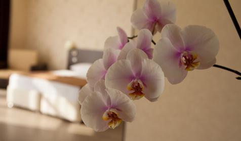  Делюкс двухместный