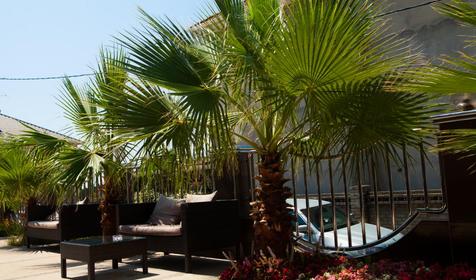  Encino (Энсино), Адлер