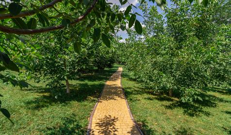 Клуб загородного отдыха Пикник Клаб, ст. Динская, с. Красносельское