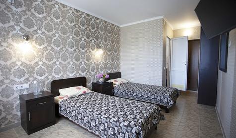 Улучшенный двухместный "Альянс"