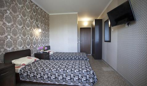 Улучшенный двухместный "Альянс"