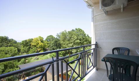 Улучшенный двухместный "Альянс"