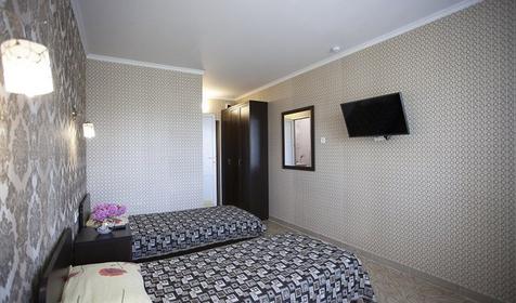 Улучшенный двухместный "Альянс"