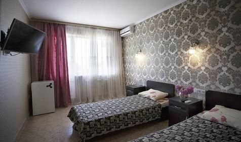 Улучшенный двухместный "Альянс"