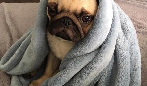 Апарт-отель Millenials Aparts, Сочи