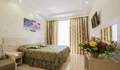 Премиум двухместный (вид на бассейн)