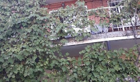 Гостевой дом Агат Первый, Геленджик, Архипо-Осиповка