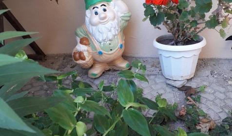 Гостевой дом Агат Первый, Геленджик, Архипо-Осиповка