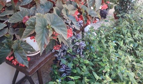 Гостевой дом Агат Первый, Геленджик, Архипо-Осиповка