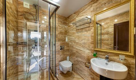 Полулюксдвухместный