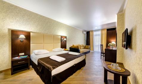 Люксдвухместный однокомнатный