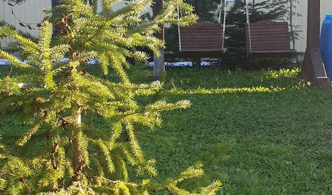 Гостевой дом Вершина, Мостовской р-н, с. Соленое