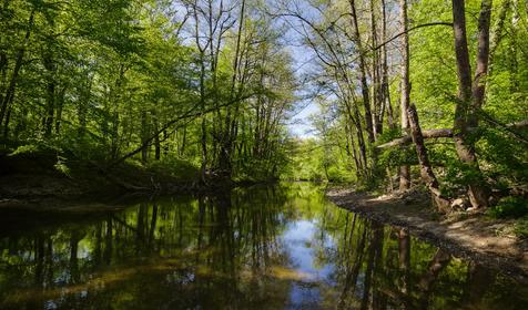Отдых в домиках, Северская, Тхамаха