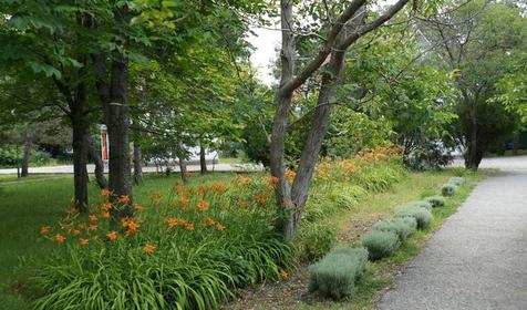 База отдыха Взлет, Геленджик, Тонкий мыс