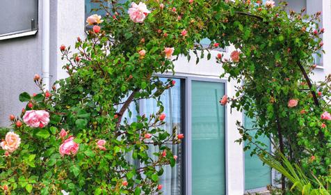 Отель La Familia (Ла Фамилия) (Ла Фамилия), Сочи, Лоо